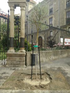 árbol nuevo herrería 2