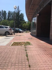 596774B1-A0A6-4F62-9C82-A1A468CBD3FB
