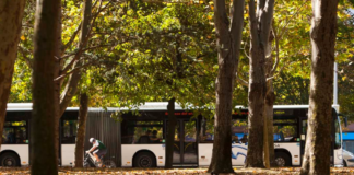 Propone cursos de educación a conductores de bus en Vitoria