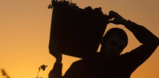 bodegas alava Best Of Wine Tourism