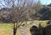 Abusos sexuales a 8 peregrinas del Camino de Santiago por Euskadi
