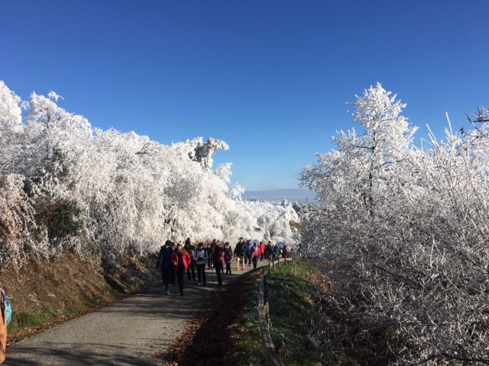 nieve hielo zaldiaran Nieve y hielo en el Zaldiaran, Álava