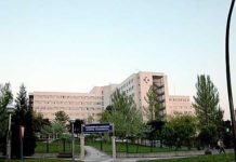Calor Euskadi: 24 traslados a hospitales en una jornada