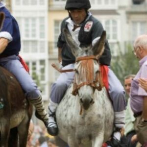 Carrera de burros el día de Santiago en Vitoria-Gasteiz