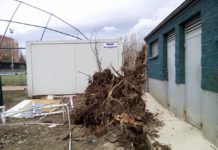 7 realidades que impiden a Vitoria ser la «Capital del Deporte» cae árbol en arinzvarra destroza el campo de fútbol