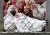 Los bomberos de Vitoria rescatan dos gallinas