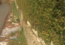Una vitoriana pasea a diario con bolsas para recoger basura (Carta) suciedad limpieza pueblos