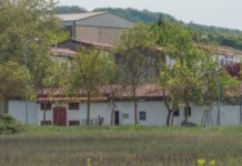 El plan de derribo de Errekaleor se prometió hace 4 años Errekaleor okupas vitoria