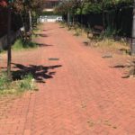 ibaiondo mal estado zonas verdes 5