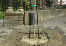 Dice que ha plantado 16.025 árboles en Vitoria ¿Los has visto?