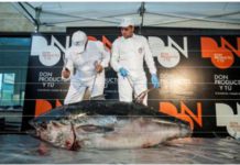 Un atún de 200 kilos circulaba por Vitoria Un atún de 200 kilos circulaba por Vitoria