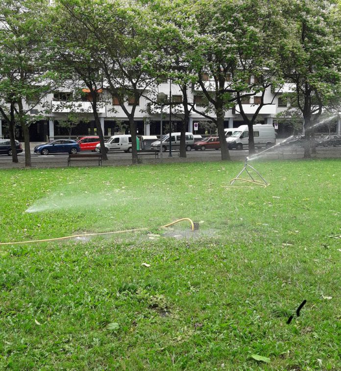 Riegos caóticos en Vitoria ¡Morirán más árboles!