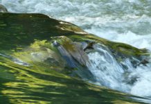 IU denunciará en la UE los incumplimientos sobre el Zadorra y embalse Barrón ríos alaveses