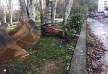 Vitoria cada vez tiene menos árboles ¡Ayer preparaban la excavadora!