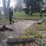 A1694150-61BD-49F1-8082-744CAAEA1C33