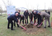9 autoridades para plantar un arbolito en Vitoria