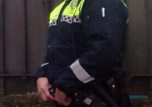 Va ebria a por sus hijos al cole en Vitoria y escupe al policía Vitoria comprobará si hubo "chulería" del agente