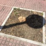 0CA0C5D3-2DB6-41D0-87B2-B0B0529842A3