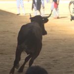 vaquillas vitoria