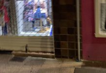 ¿La viste? La rata que «iba de compras» por el centro de Vitoria