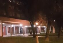 ¡Aquí no hay quien duerma! VIDEO: Ruido infernal de unos «pajaritos»