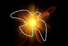 La enigmática cita bíblica de la concejala de Deportes de Vitoria cita bíblica