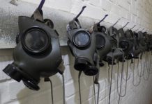 Vitoria, entre las ciudades españolas afectadas por pesticidas prohibidos