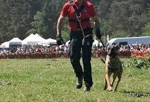 Drogas: Dispostivo policial con la unidad canina en Vitoria