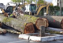 Bilbao vende ecologismo… ¡Imprime 150.000 boletines!