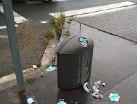 Vitoria multará con 300 euros por tirar mascarillas y guantes