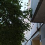 EZQE02eWsAIqIcr
