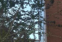 Vitorianos condenados «sin luz del sol» (CARTA de un ciudadano)