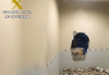 Un grupo serbio robó dos empresas en Vitoria y 56 en España
