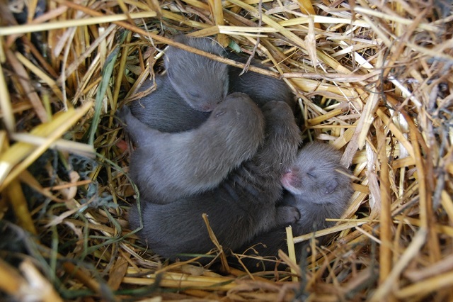 DSC_0389v(1)