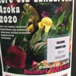 F0EAE6AB-1939-420B-8DEA-F272ED7911C4