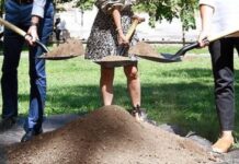 ¿Se secará el árbol del amor en Vitoria?