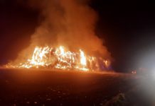 Álava ha registrado 80 incendios intencionados en una década Álava ha registrado 80 incendios intencionados en una década