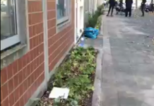 Proponen colocar jardineras en las fachadas de Vitoria
