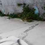 20201128_100846