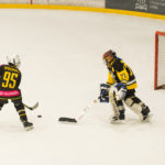 hockey hielo bakh vitoria