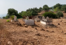Vitoria saca pecho en Madrid del cementerio musulmán cementerio musulman vitoria