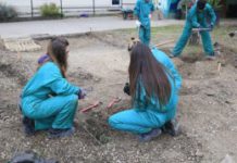 Suspendidas las clases en un centro de FP de Vitoria por covid
