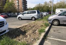 Retiran ya los árboles donde irá el nuevo Eroski de Vitoria