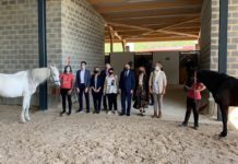 Terapias con caballos en Álava