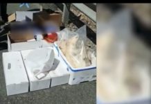 Alimentos en furgoneta sin condiciones sanitarias hacia Álava