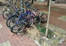 Nos come la maleza en Vitoria (2 fotos denuncia)