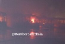 12 buses calcinados en Bizkaia