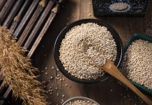 Vitoria experimenta nuevas variaciones de quinoa y soja Vitoria experimenta nuevas variaciones de quinoa y soja