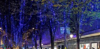 57 árboles y 1.350.000 luces en la Navidad de Bilbao