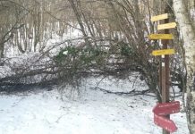 El coche 295 que llegue a Parques Naturales de Álava…. ¡Multa! Lunes y martes de alerta por nieve en Álava